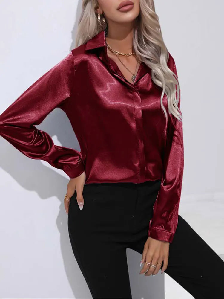 Satin V Neck Long Sleeve Shirt