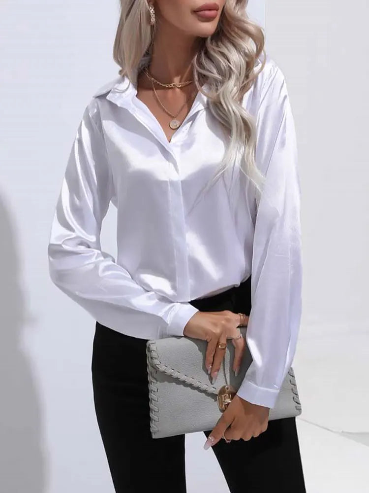 Satin V Neck Long Sleeve Shirt