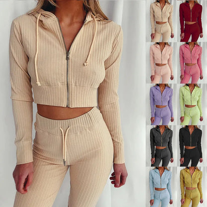 Trendy Knit Ribbed  Long Sleeve Zip Up Slim Fit Hooded Crop Tops + High Waist Long Pants