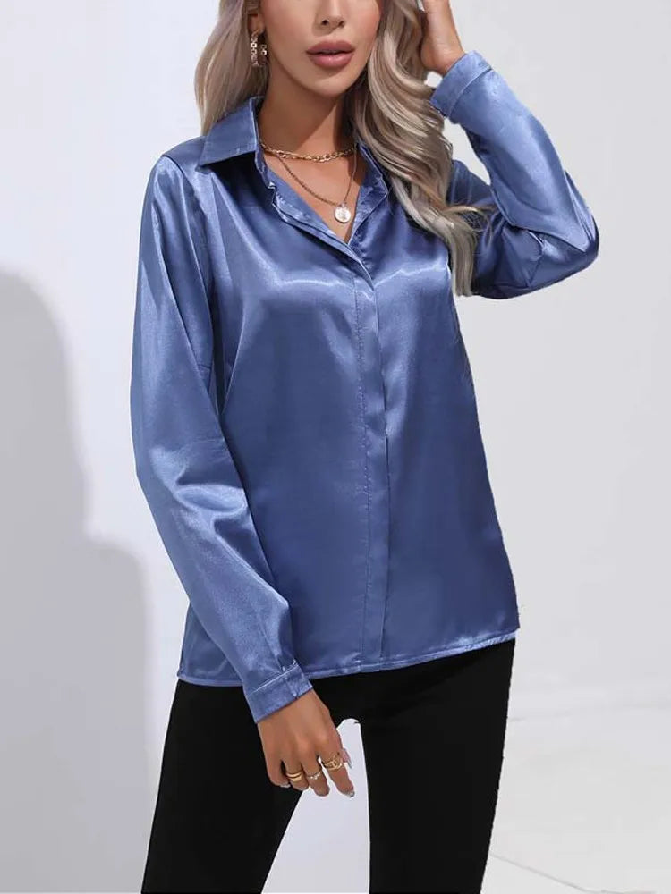 Satin V Neck Long Sleeve Shirt