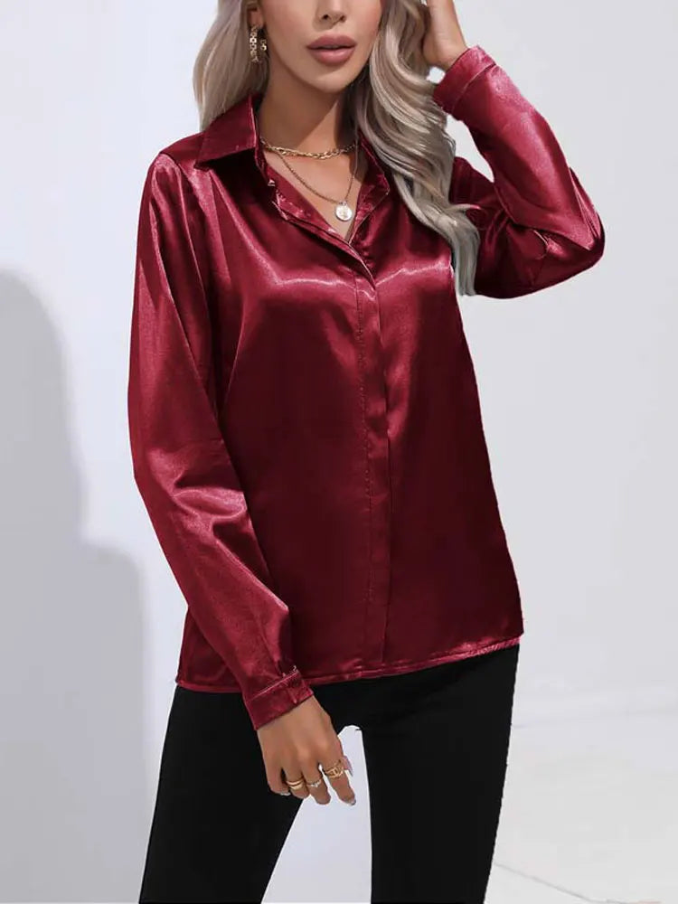 Satin V Neck Long Sleeve Shirt