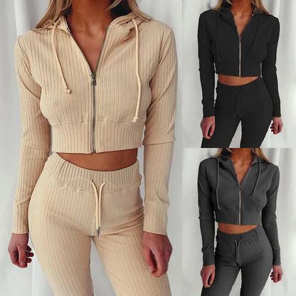 Trendy Knit Ribbed  Long Sleeve Zip Up Slim Fit Hooded Crop Tops + High Waist Long Pants